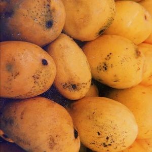 Meet your Posher, Cathryn